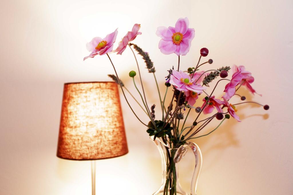 La Tourrette Bed & Breakfast Tourrettes-sur-Loup Dış mekan fotoğraf